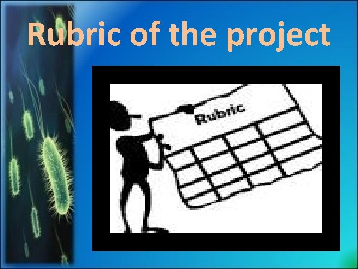 Rubric of the project 