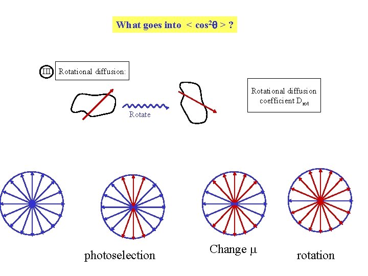 What goes into < cos 2 > ? III Rotational diffusion: Rotational diffusion coefficient What goes into < cos 2 > ? III Rotational diffusion: Rotational diffusion coefficient