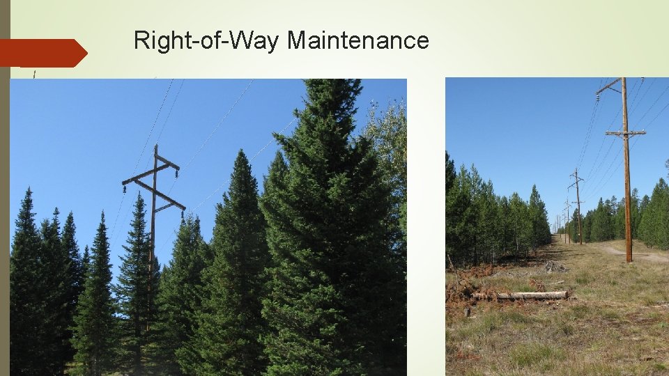 Right-of-Way Maintenance 