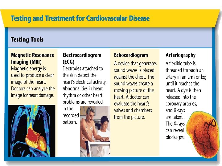 Slide 10 of 21 