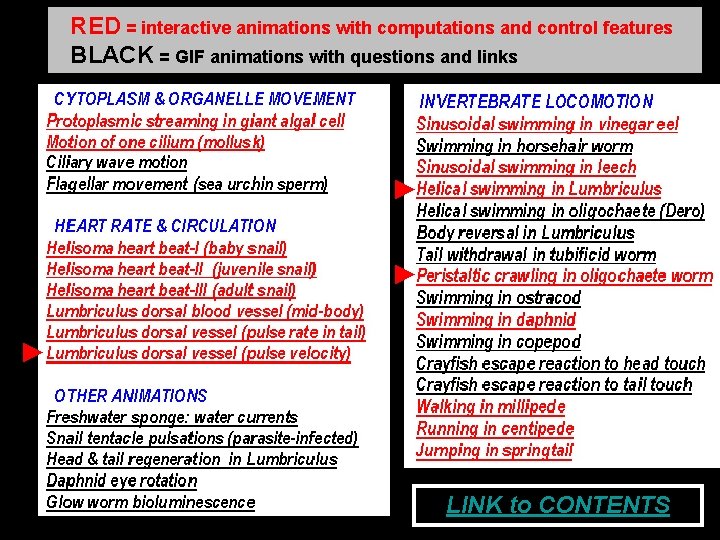 RED = interactive animations with computations and control features BLACK = GIF animations with