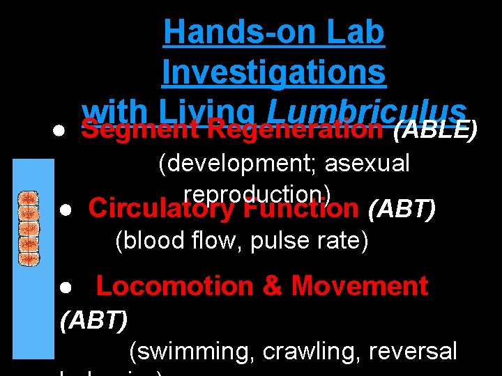 Hands-on Lab Investigations with Living Lumbriculus Segment Regeneration (ABLE) (development; asexual reproduction) Circulatory Function