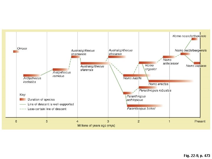 Fig. 22 -9, p. 473 