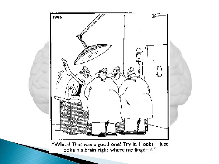 Copyright: Gary Larson 