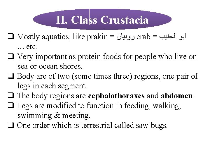 II. Class Crustacia q Mostly aquatics, like prakin = ﺭﻭﺑﻴﺎﻥ crab = ﺍﺑﻮ ﺍﻟﺠﻨﻴﺐ