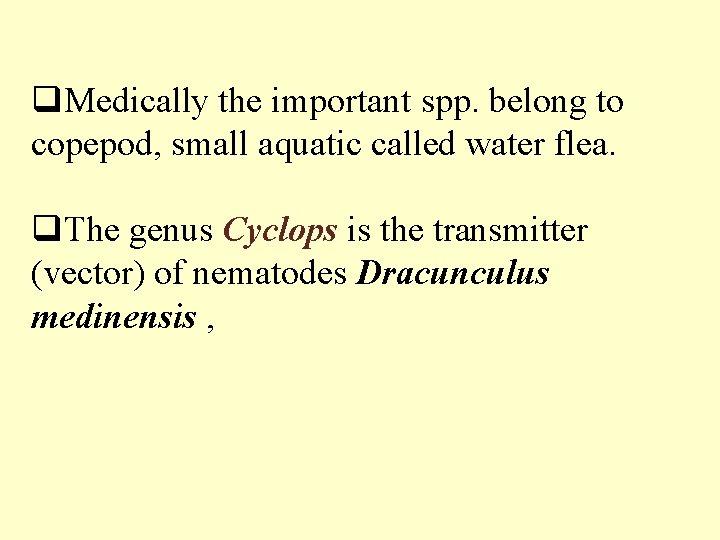 q. Medically the important spp. belong to copepod, small aquatic called water flea. q.