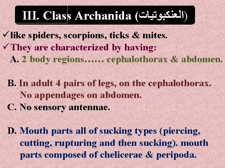 III. Class Archanida ( )ﺍﻟﻌﻨﻜﺒﻮﺗﻴﺎﺕ ülike spiders, scorpions, ticks & mites. üThey are characterized