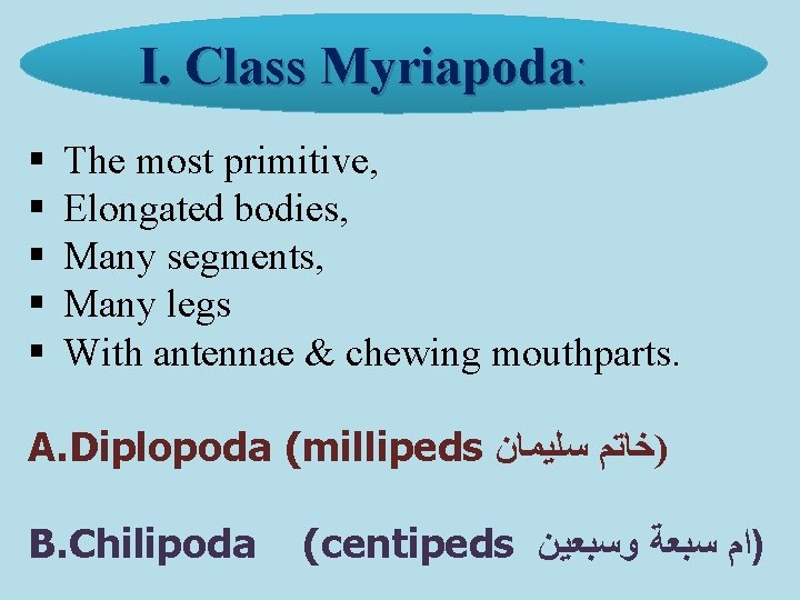 I. Class Myriapoda: § § § The most primitive, Elongated bodies, Many segments, Many