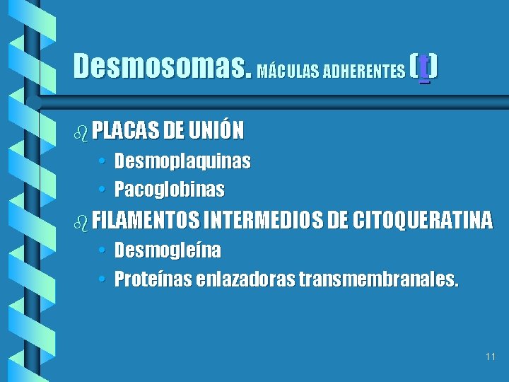 Desmosomas. MÁCULAS ADHERENTES (t) b PLACAS DE UNIÓN • Desmoplaquinas • Pacoglobinas b FILAMENTOS