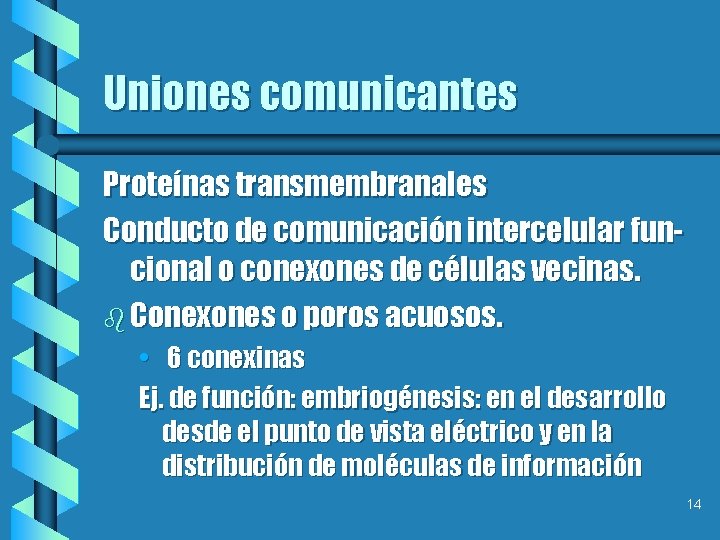 Uniones comunicantes Proteínas transmembranales Conducto de comunicación intercelular funcional o conexones de células vecinas.