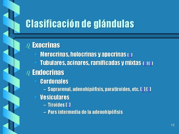 Clasificación de glándulas b Exocrinas • Merocrinas, holocrinas y apocrinas (e) • Tubulares, acinares,