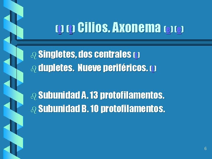 (t) Cilios. Axonema (e) b Singletes, dos centrales (t) b dupletes. Nueve periféricos. (t)