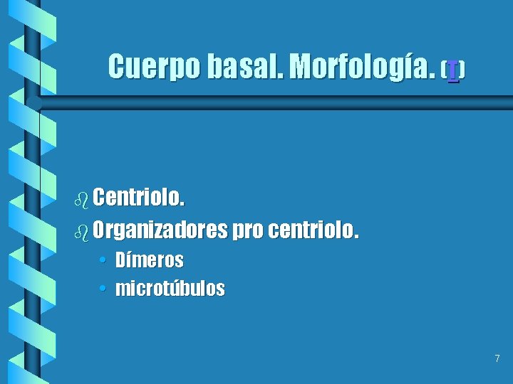 Cuerpo basal. Morfología. (T) b Centriolo. b Organizadores pro centriolo. • Dímeros • microtúbulos