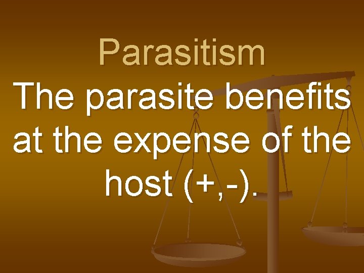 Parasitism The parasite benefits at the expense of the host (+, -). 