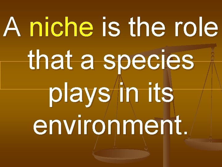 A niche is the role that a species plays in its environment. 