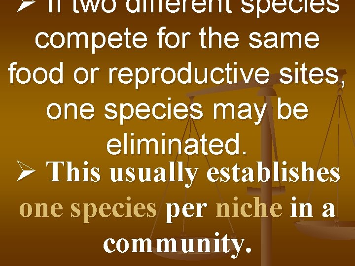 Ø If two different species compete for the same food or reproductive sites, one