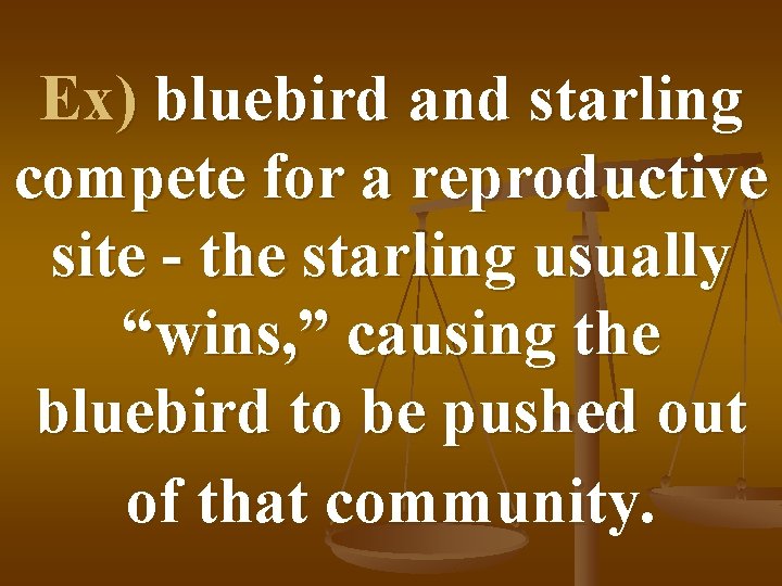 Ex) bluebird and starling compete for a reproductive site - the starling usually “wins,