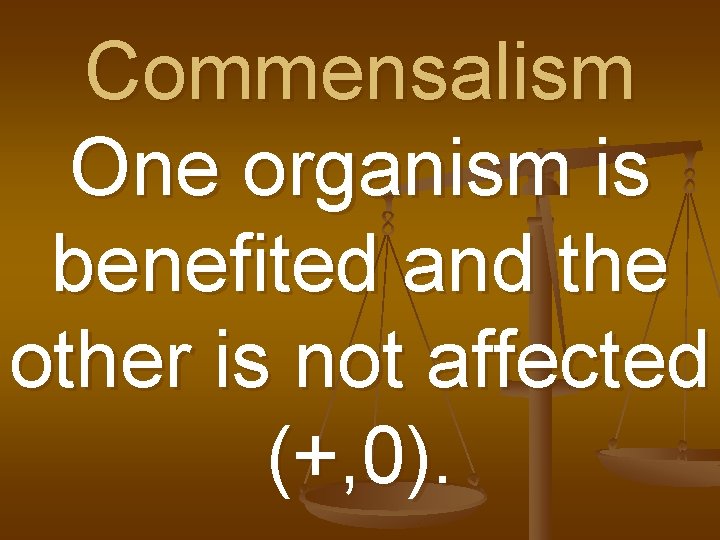 Commensalism One organism is benefited and the other is not affected (+, 0). 