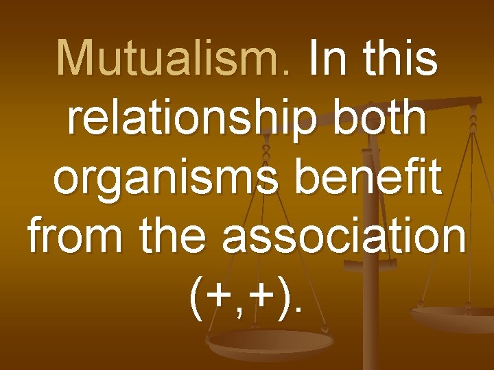 Mutualism. In this relationship both organisms benefit from the association (+, +). 