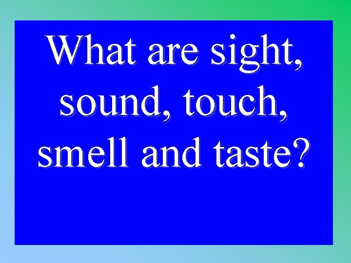 What are sight, sound, touch, smell and taste? 1 - 100 2 -300 A