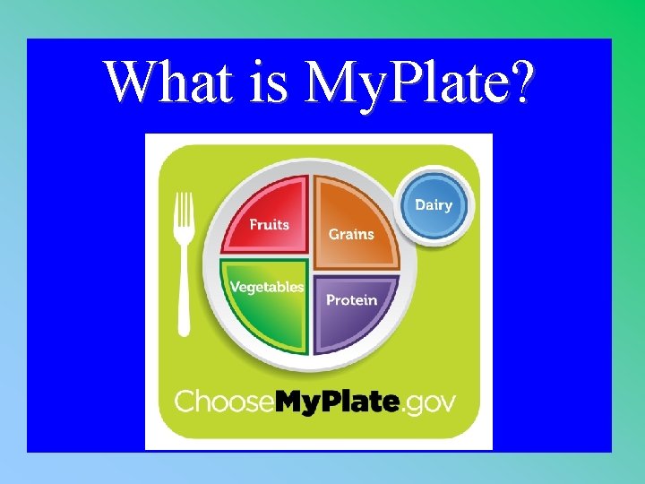 What is My. Plate? 1 - 100 2 -500 A 