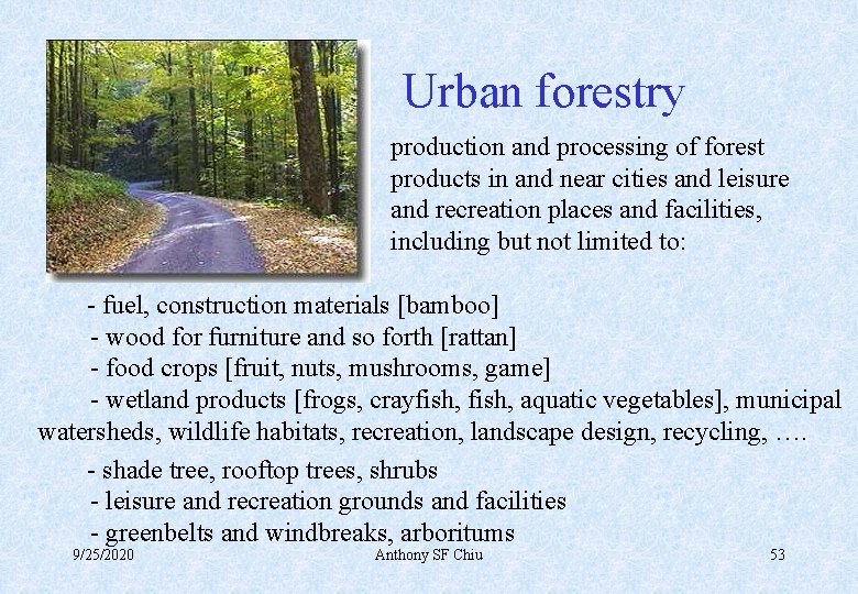 Urban forestry production and processing of forest products in and near cities and leisure