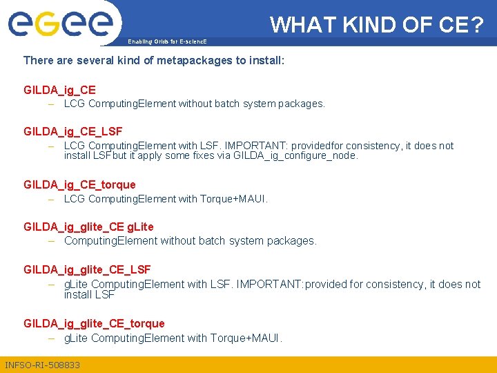 WHAT KIND OF CE? Enabling Grids for E-scienc. E There are several kind of