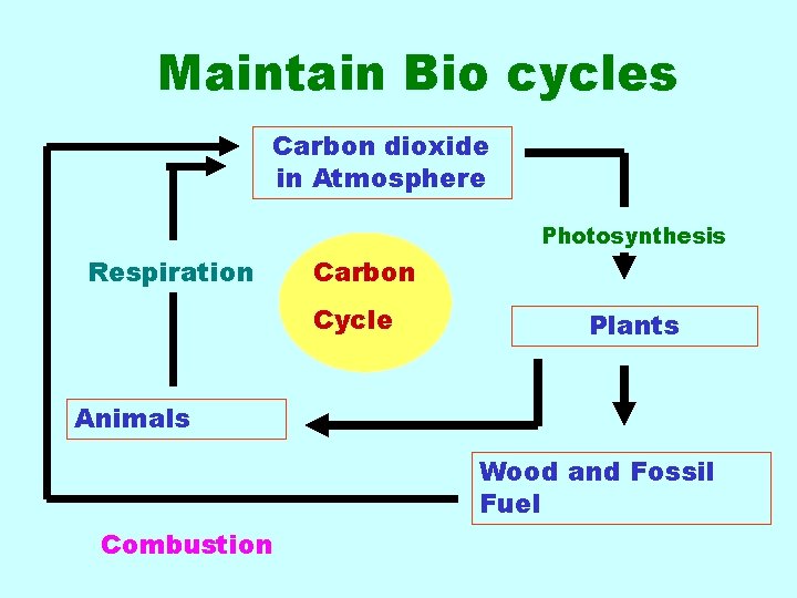 Maintain Bio cycles Carbon dioxide in Atmosphere Photosynthesis Respiration Carbon Cycle Plants Animals Wood