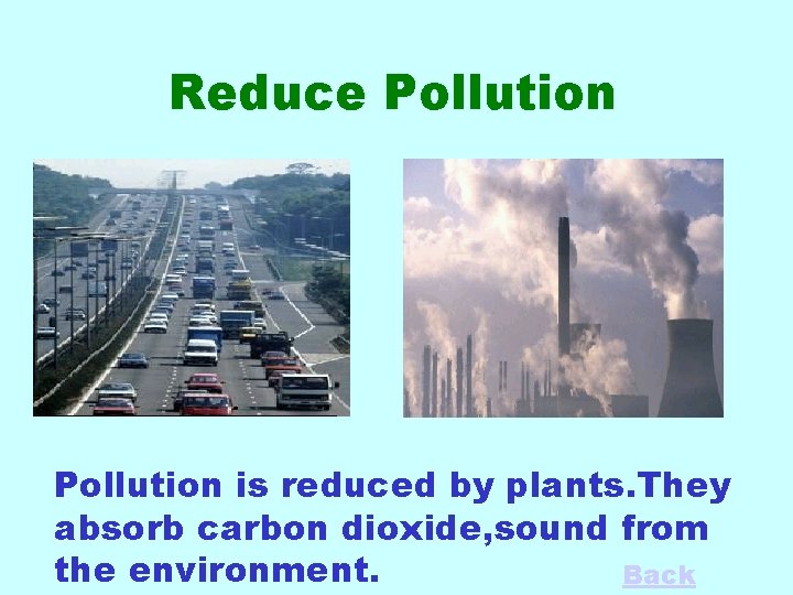 Reduce Pollution is reduced by plants. They absorb carbon dioxide, sound from the environment.