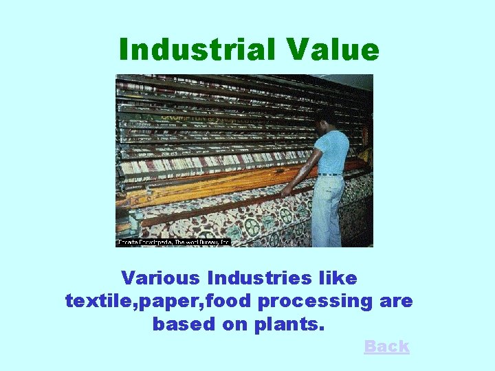 Industrial Value Various Industries like textile, paper, food processing are based on plants. Back