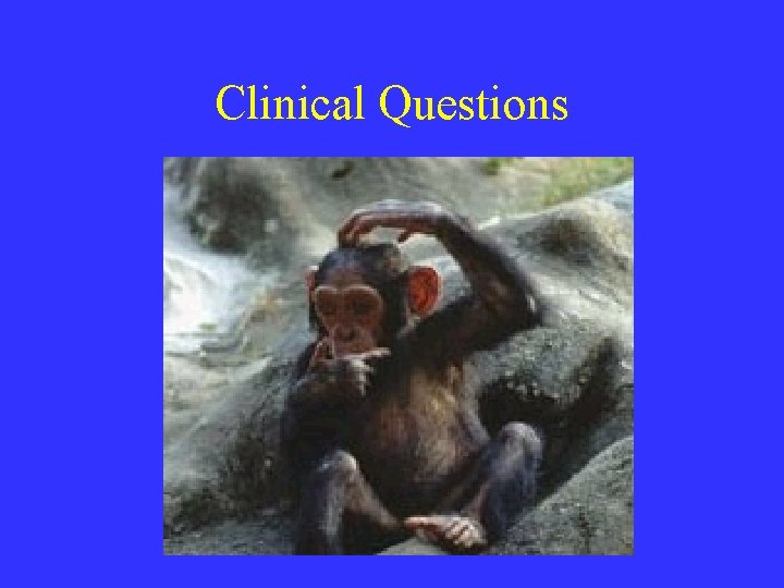 Clinical Questions 