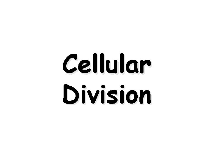 Cellular Division 22 