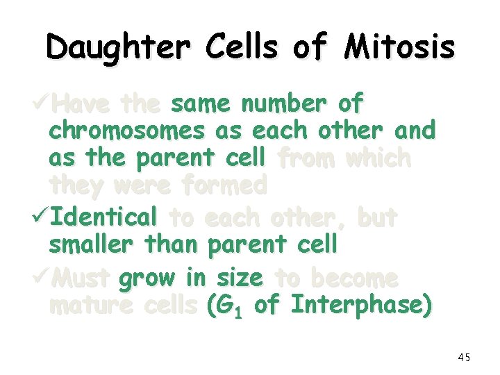Daughter Cells of Mitosis üHave the same number of chromosomes as each other and