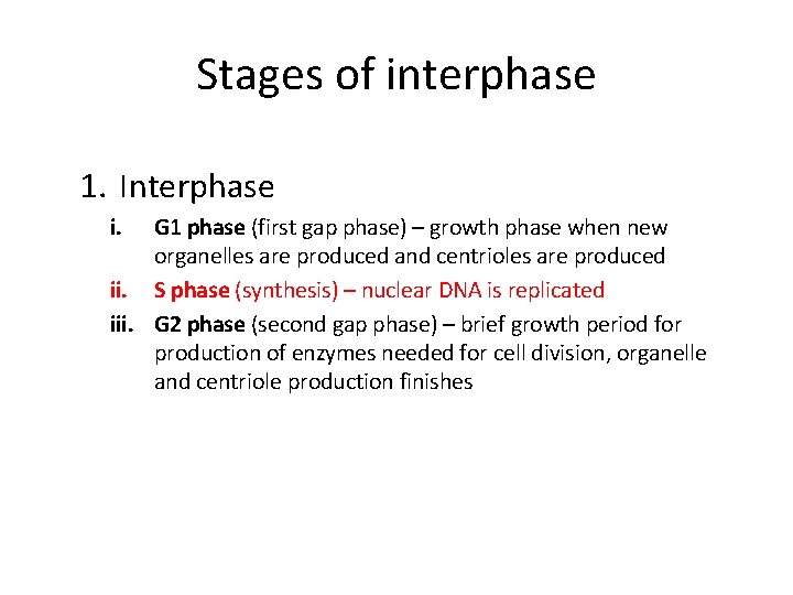 Stages of interphase 1. Interphase i. G 1 phase (first gap phase) – growth