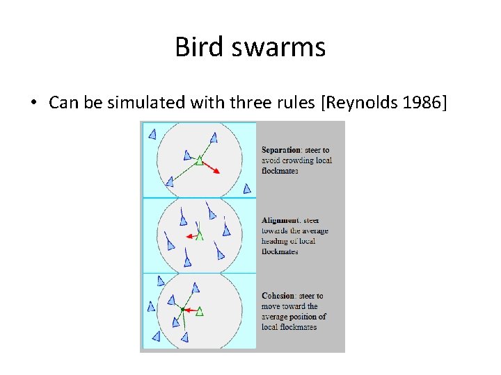 Bird swarms • Can be simulated with three rules [Reynolds 1986] 