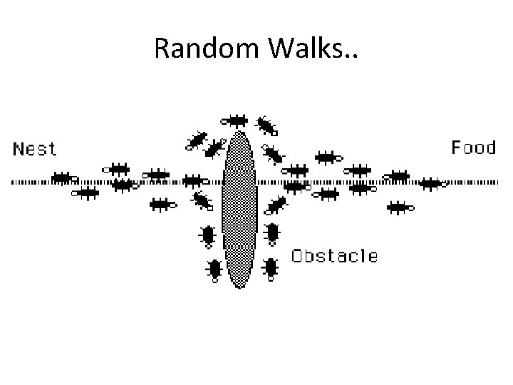 Random Walks. . 