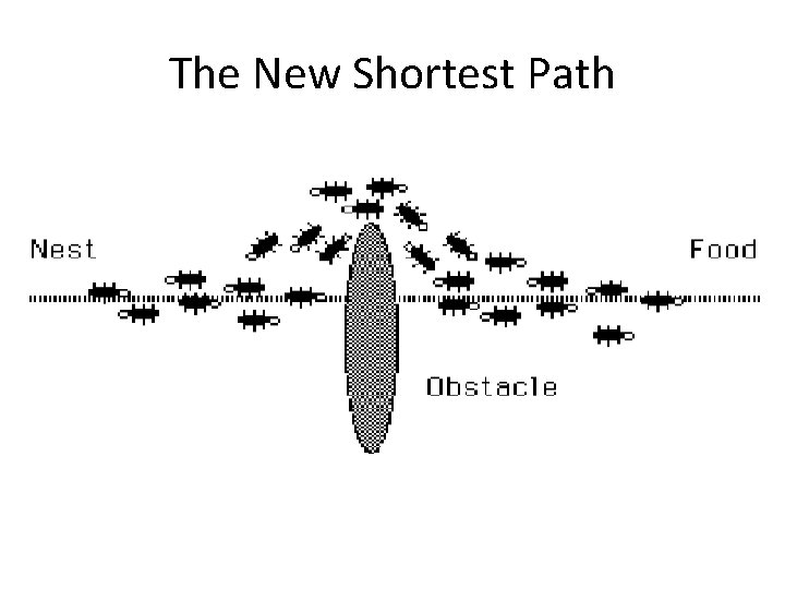 The New Shortest Path 