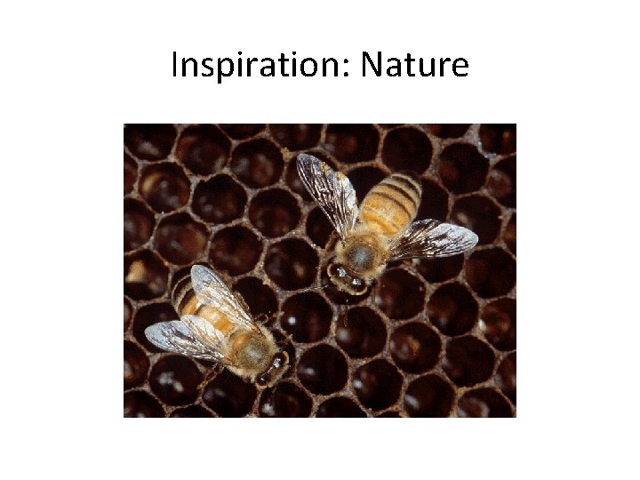 Inspiration: Nature 