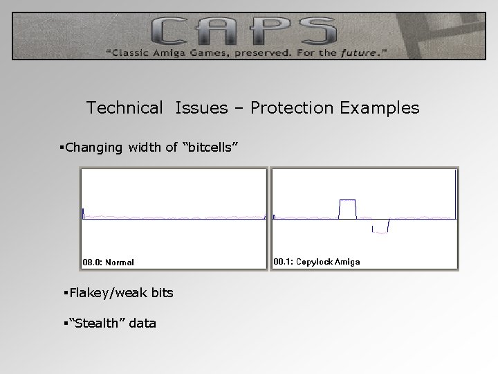  Technical Issues – Protection Examples §Changing width of “bitcells” §Flakey/weak bits §“Stealth” data