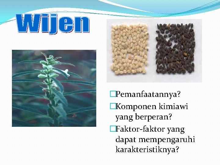 �Pemanfaatannya? �Komponen kimiawi yang berperan? �Faktor-faktor yang dapat mempengaruhi karakteristiknya? 