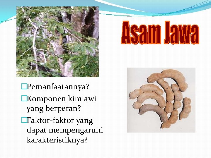�Pemanfaatannya? �Komponen kimiawi yang berperan? �Faktor-faktor yang dapat mempengaruhi karakteristiknya? 
