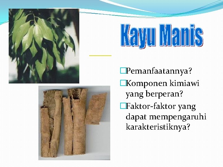  �Pemanfaatannya? �Komponen kimiawi yang berperan? �Faktor-faktor yang dapat mempengaruhi karakteristiknya? 