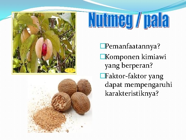 �Pemanfaatannya? �Komponen kimiawi yang berperan? �Faktor-faktor yang dapat mempengaruhi karakteristiknya? 