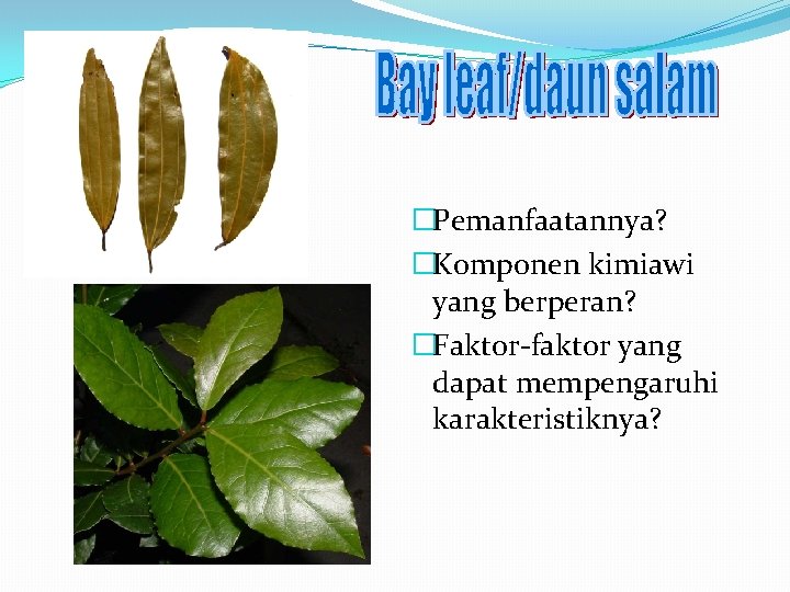 �Pemanfaatannya? �Komponen kimiawi yang berperan? �Faktor-faktor yang dapat mempengaruhi karakteristiknya? 