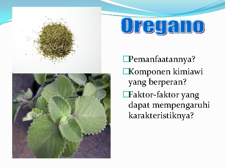 �Pemanfaatannya? �Komponen kimiawi yang berperan? �Faktor-faktor yang dapat mempengaruhi karakteristiknya? 