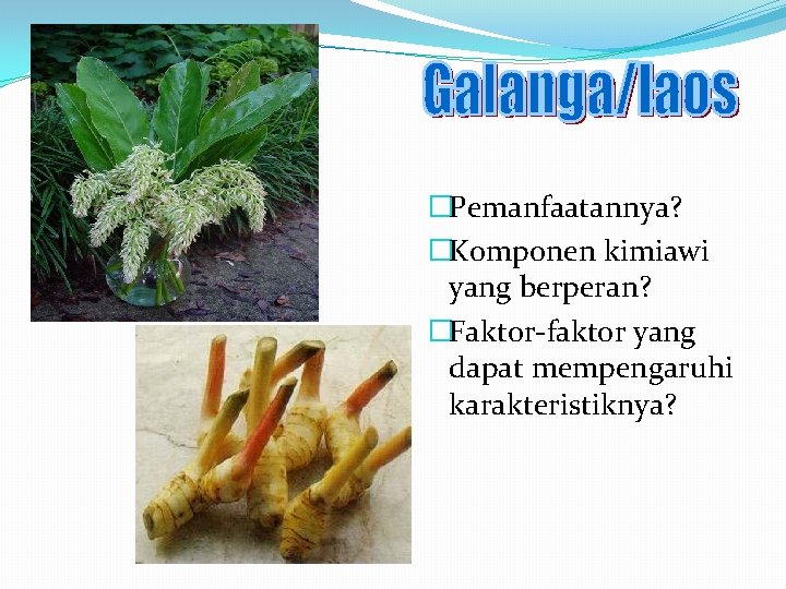 �Pemanfaatannya? �Komponen kimiawi yang berperan? �Faktor-faktor yang dapat mempengaruhi karakteristiknya? 