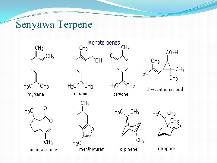 Senyawa Terpene 