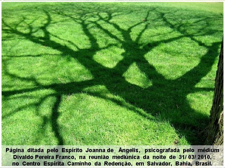 Página ditada pelo Espírito Joanna de ngelis, psicografada pelo médium Divaldo Pereira Franco, na
