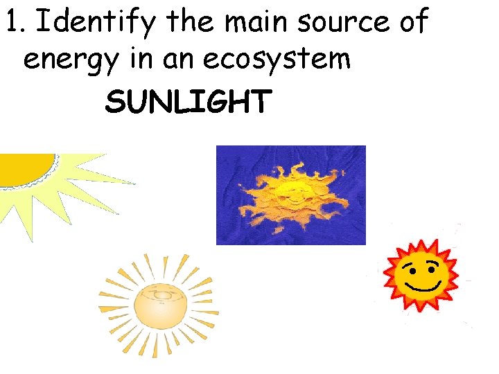 1. Identify the main source of energy in an ecosystem SUNLIGHT 