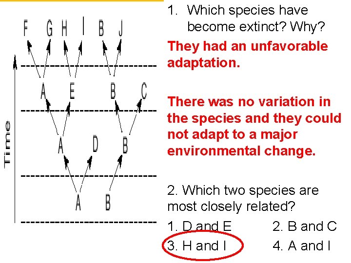 1. Which species have become extinct? Why? They had an unfavorable adaptation. There was